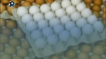 أسعار البيض في كفر الشيخ الجمعة 31 أكتوبر 2025: تحديث حصري